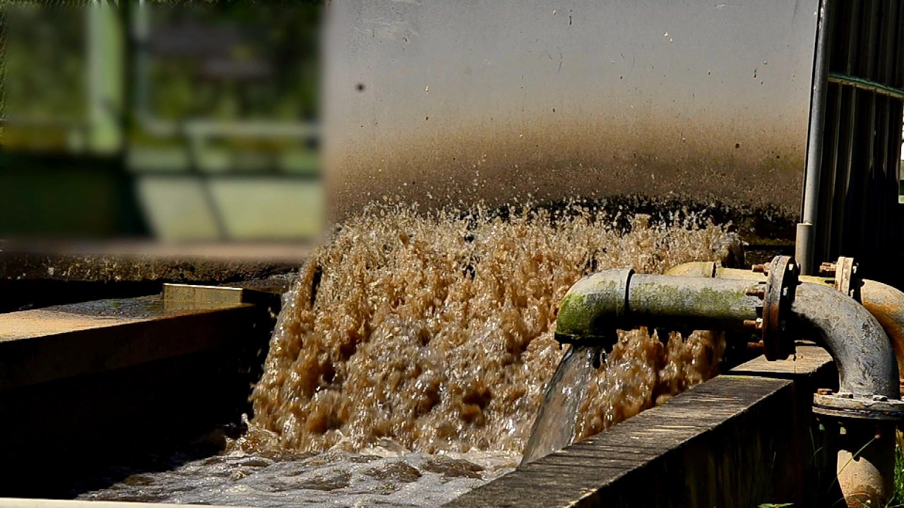 Human Water Cycle Wastewater Water Treatment Specialist