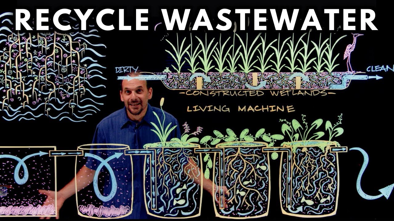 How to Recycle Waste Water Using Plants Water Treatment Specialist